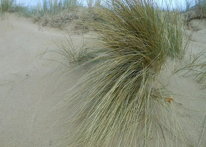 De La Petite Hotel 2*